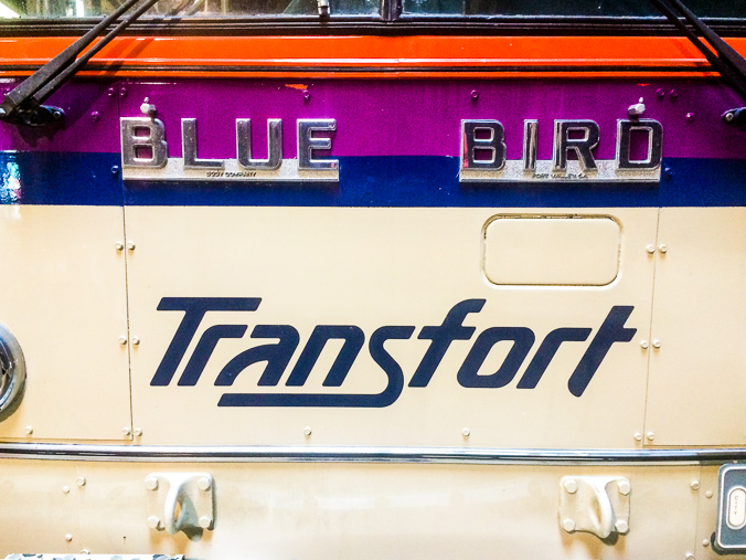 Two giants in transit: Blue Bird and Transfort.